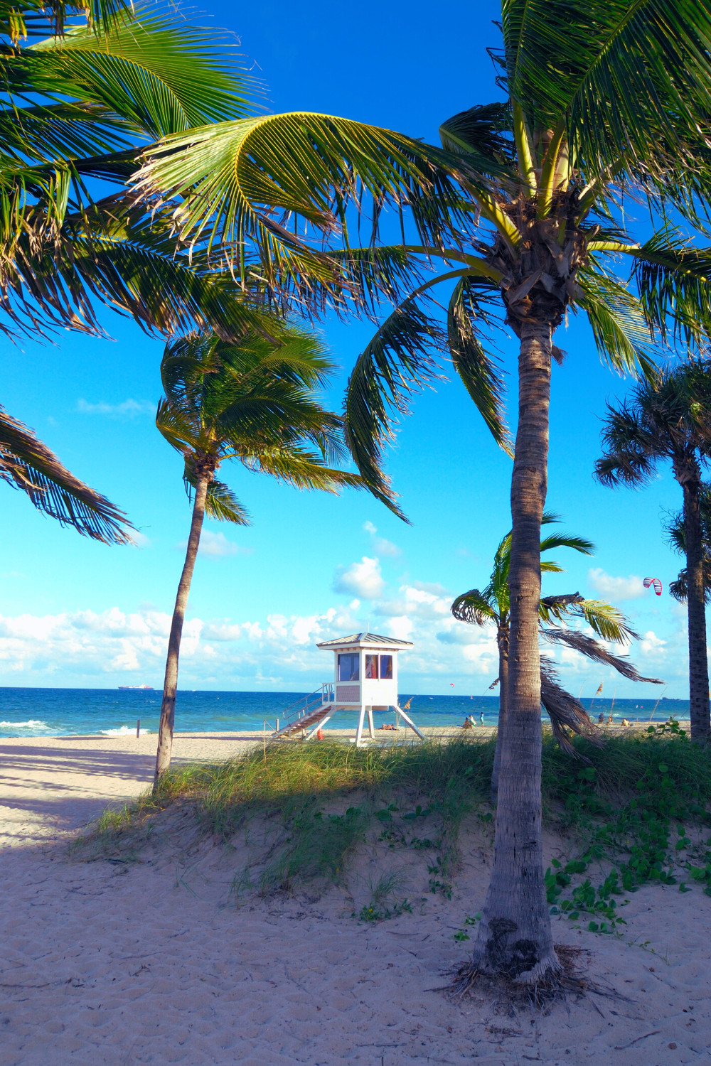 Beach Gardens — gallery preview 1