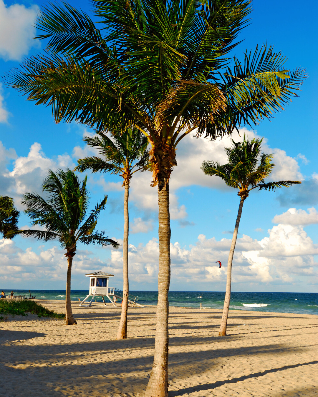 A beach scene with palm trees, a lifeguard station, and a kite in the distance.